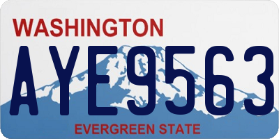 WA license plate AYE9563