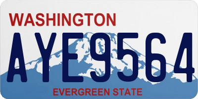 WA license plate AYE9564