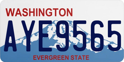WA license plate AYE9565