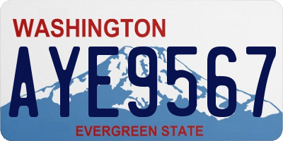 WA license plate AYE9567
