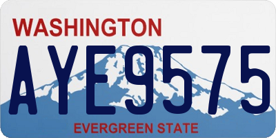 WA license plate AYE9575