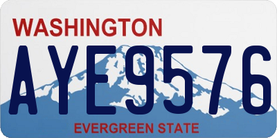 WA license plate AYE9576