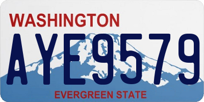 WA license plate AYE9579