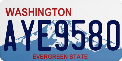 WA license plate AYE9580