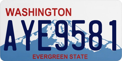 WA license plate AYE9581