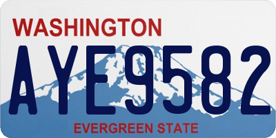 WA license plate AYE9582