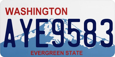 WA license plate AYE9583
