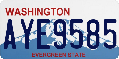 WA license plate AYE9585