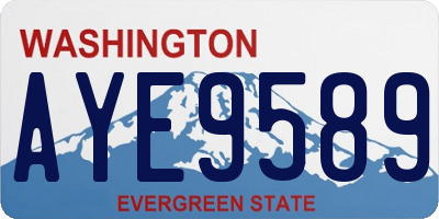WA license plate AYE9589