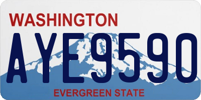 WA license plate AYE9590
