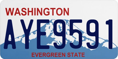 WA license plate AYE9591