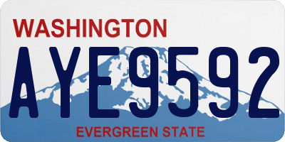 WA license plate AYE9592