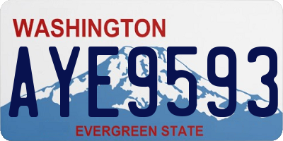 WA license plate AYE9593