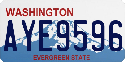 WA license plate AYE9596