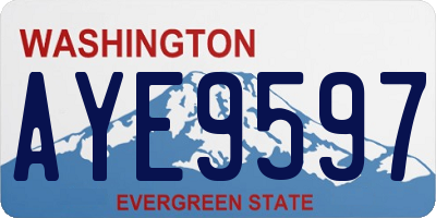 WA license plate AYE9597