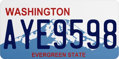 WA license plate AYE9598