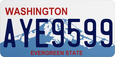 WA license plate AYE9599