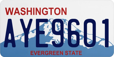 WA license plate AYE9601