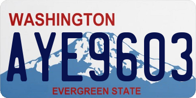 WA license plate AYE9603