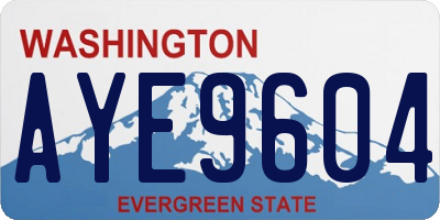 WA license plate AYE9604