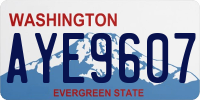WA license plate AYE9607