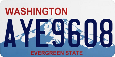 WA license plate AYE9608