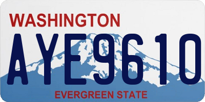 WA license plate AYE9610