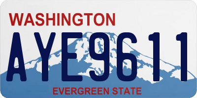 WA license plate AYE9611