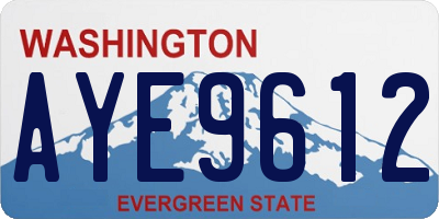WA license plate AYE9612