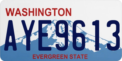 WA license plate AYE9613