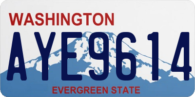 WA license plate AYE9614