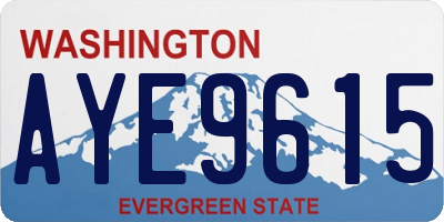 WA license plate AYE9615