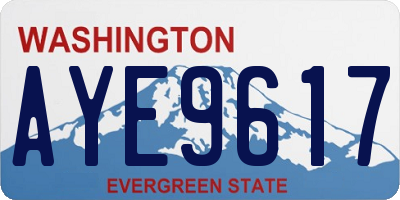 WA license plate AYE9617
