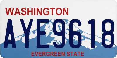 WA license plate AYE9618