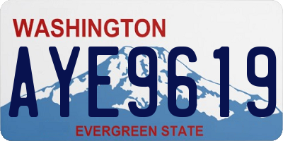 WA license plate AYE9619