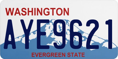 WA license plate AYE9621