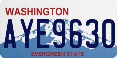 WA license plate AYE9630