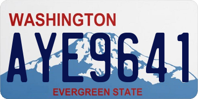 WA license plate AYE9641