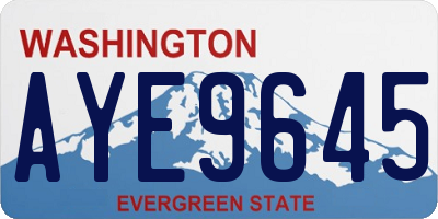 WA license plate AYE9645