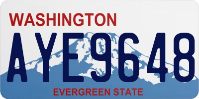 WA license plate AYE9648