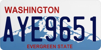 WA license plate AYE9651