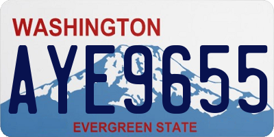 WA license plate AYE9655