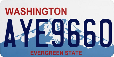 WA license plate AYE9660