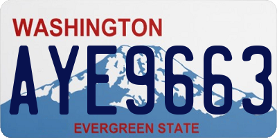 WA license plate AYE9663
