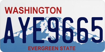 WA license plate AYE9665