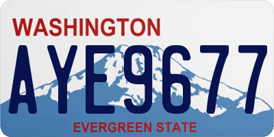 WA license plate AYE9677