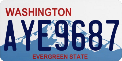 WA license plate AYE9687