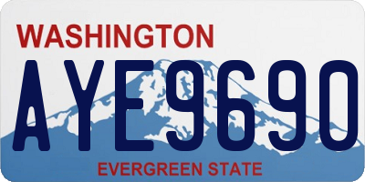 WA license plate AYE9690