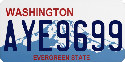 WA license plate AYE9699