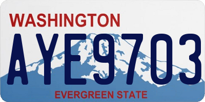 WA license plate AYE9703